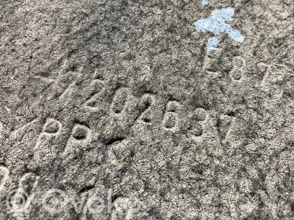 Aizmugurējais apakšspārns