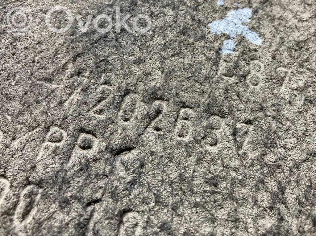 Aizmugurējais apakšspārns