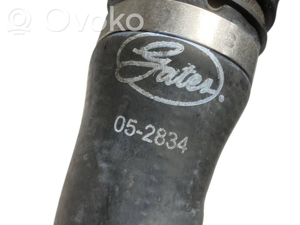 Caurulīte (-es) / šļūtene (-es)