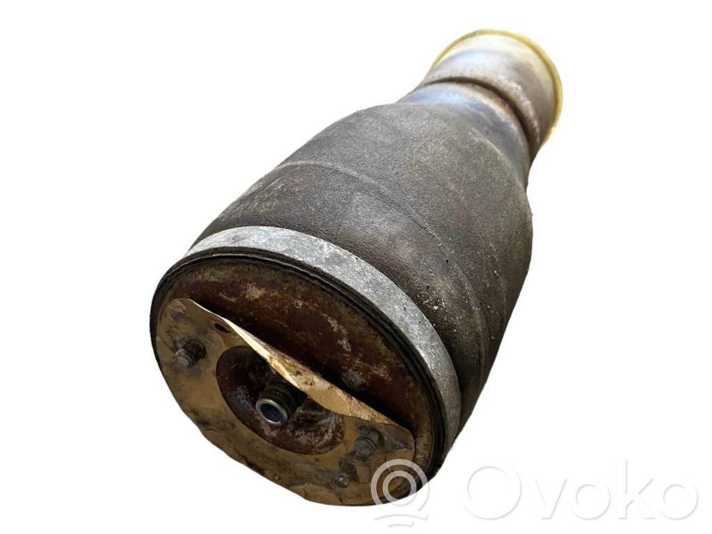 Rear airbag