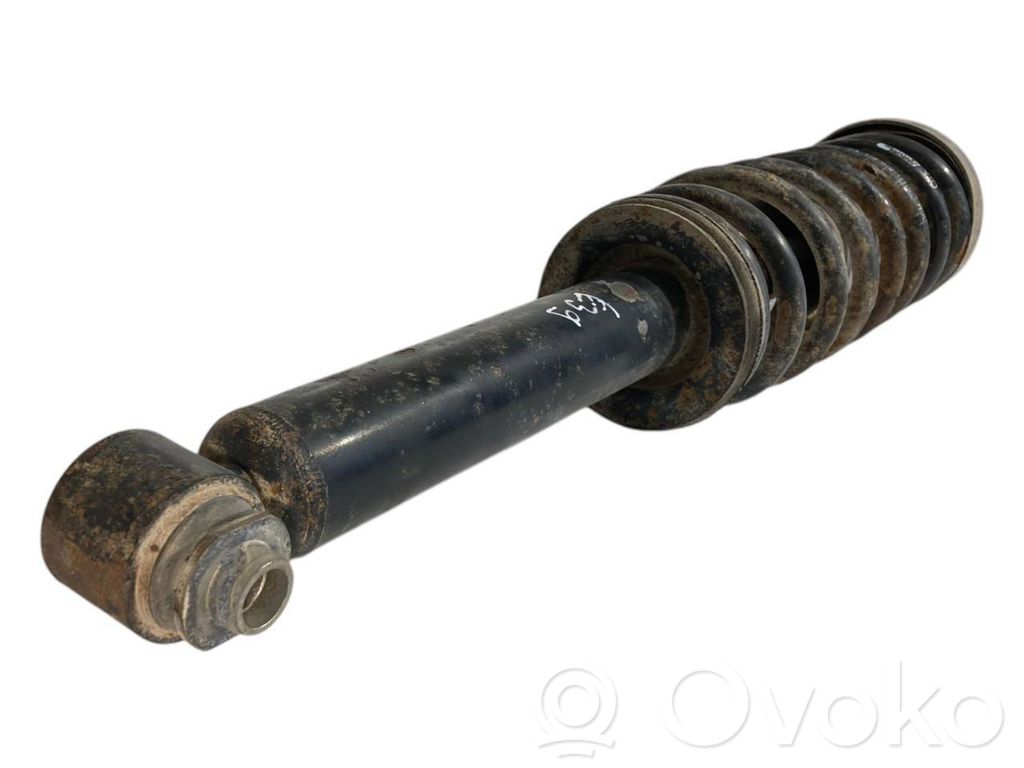Rear shock absorber with spring