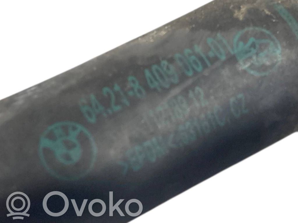 Caurulīte (-es) / šļūtene (-es)