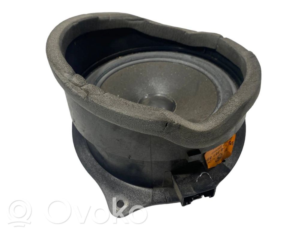 Speaker(s) in front door