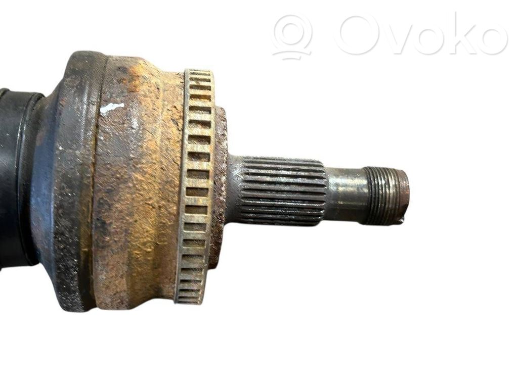 Aizmugurējā pusass