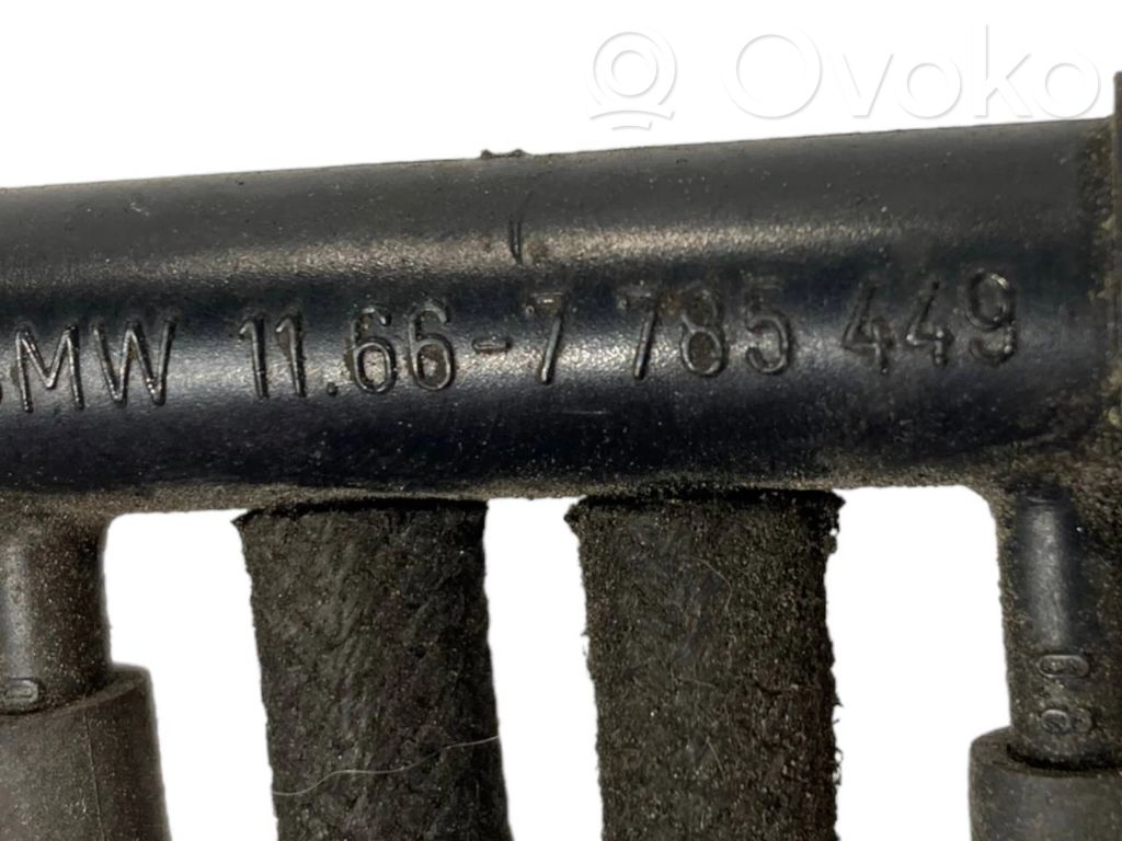 Caurulīte (-es) / šļūtene (-es)