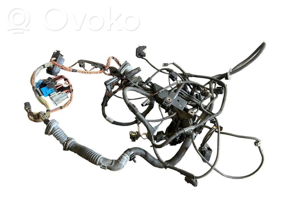 Engine wiring harness