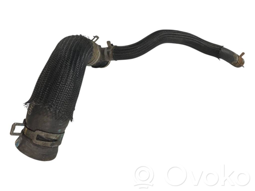 Caurulīte (-es) / šļūtene (-es)