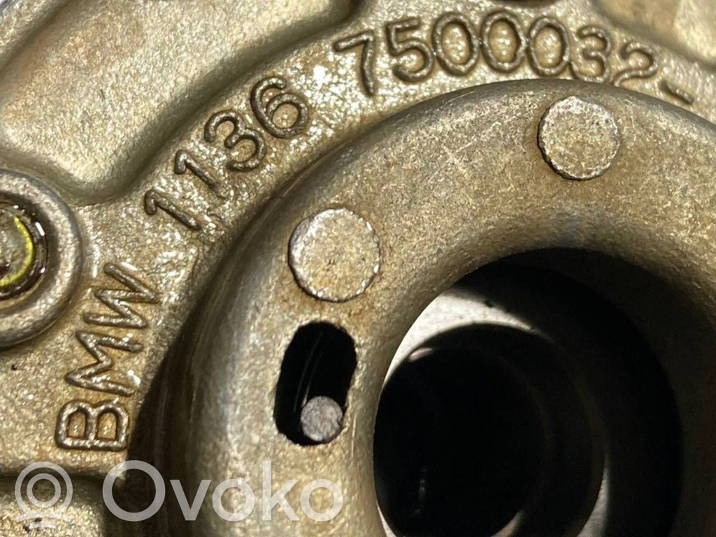 Sadales vārpstas skriemelis / "Vanos"