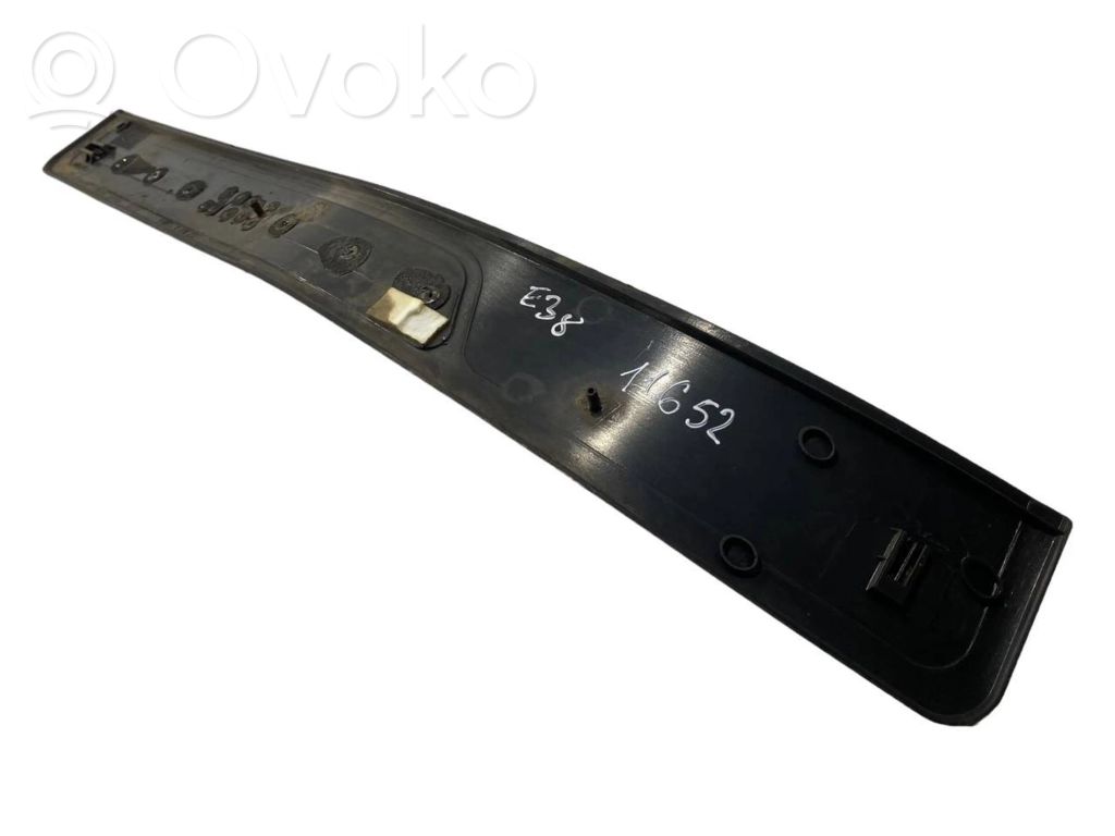 Rear door sill trim (inner)