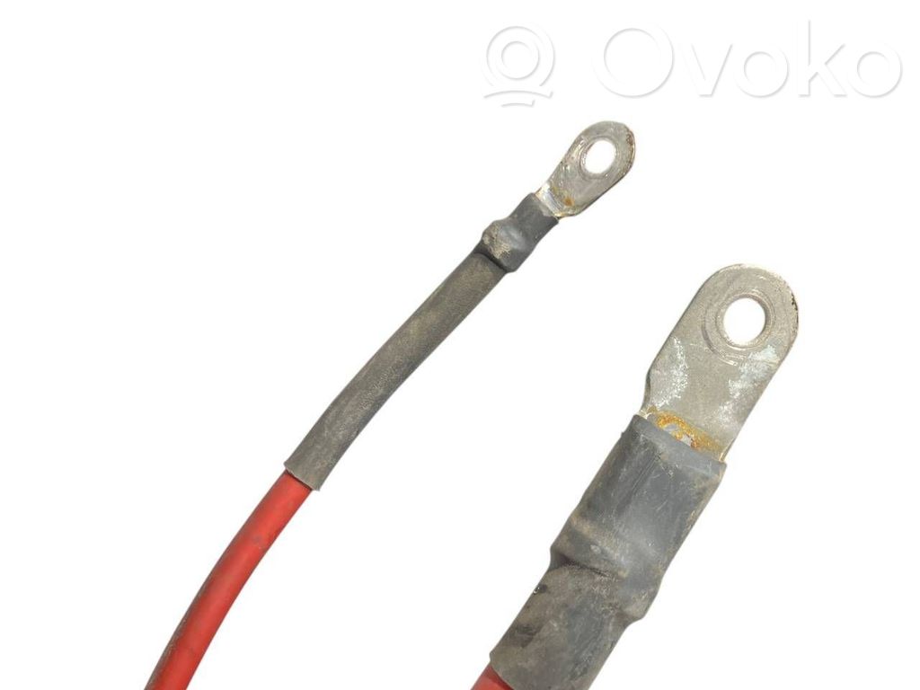 Plusa vads (akumulatora)