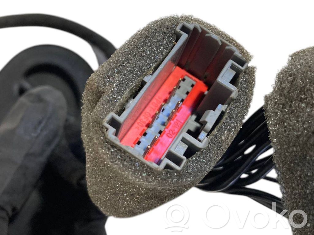 Speaker(s) in front door