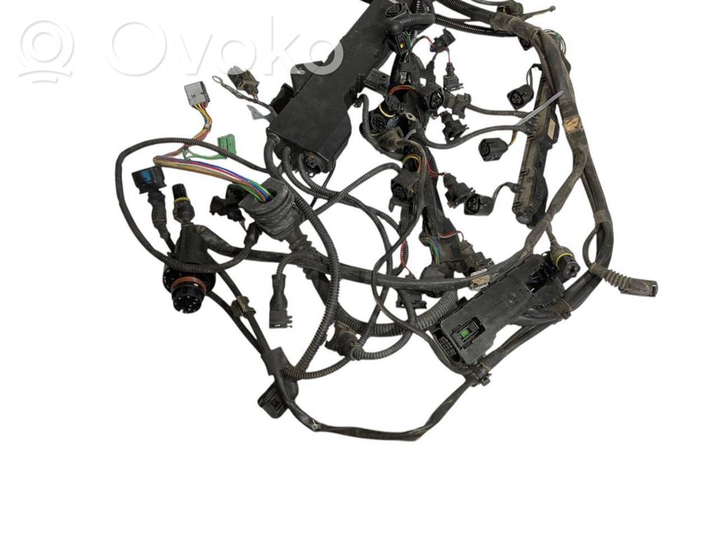 Engine wiring harness