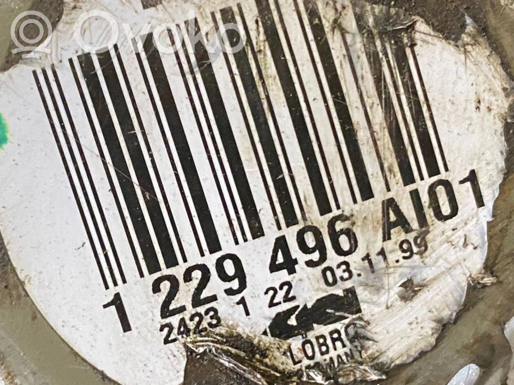 Aizmugurējā pusass