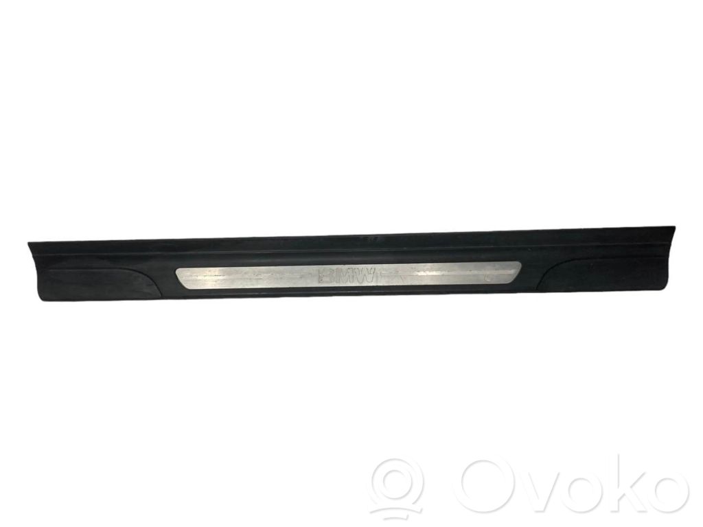 Front sill trim (inner)