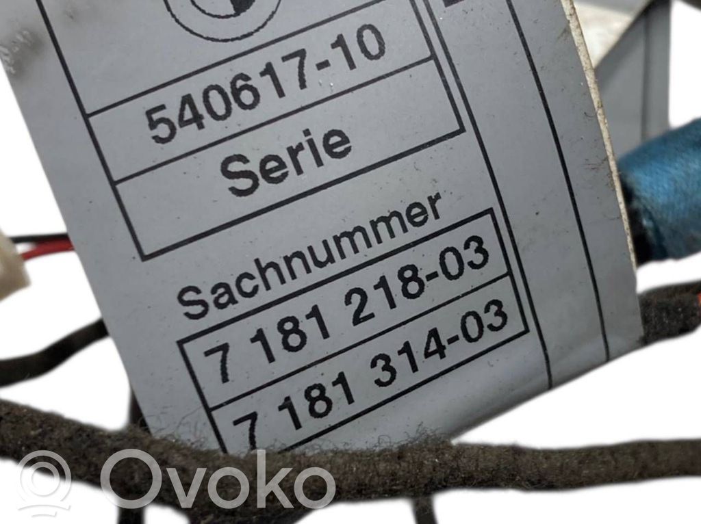 Priekšējo durvju roktura apgaismojums (ārpusē)