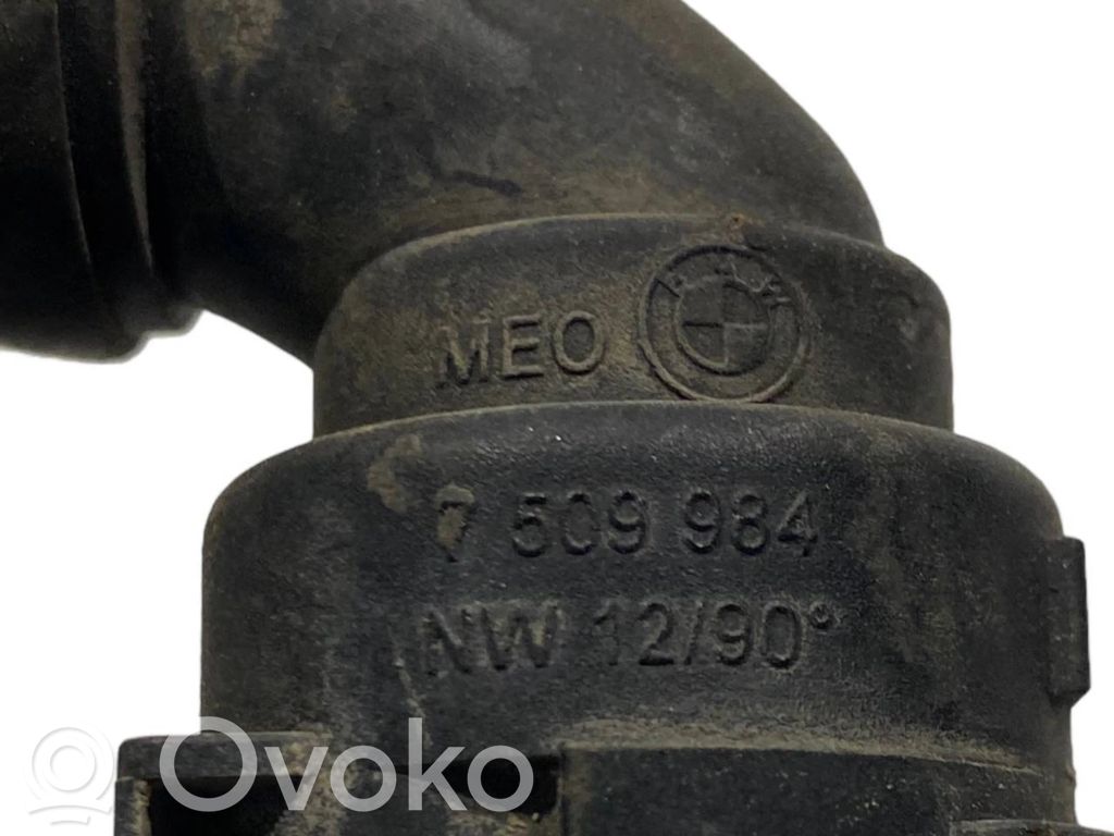 Caurulīte (-es) / šļūtene (-es)