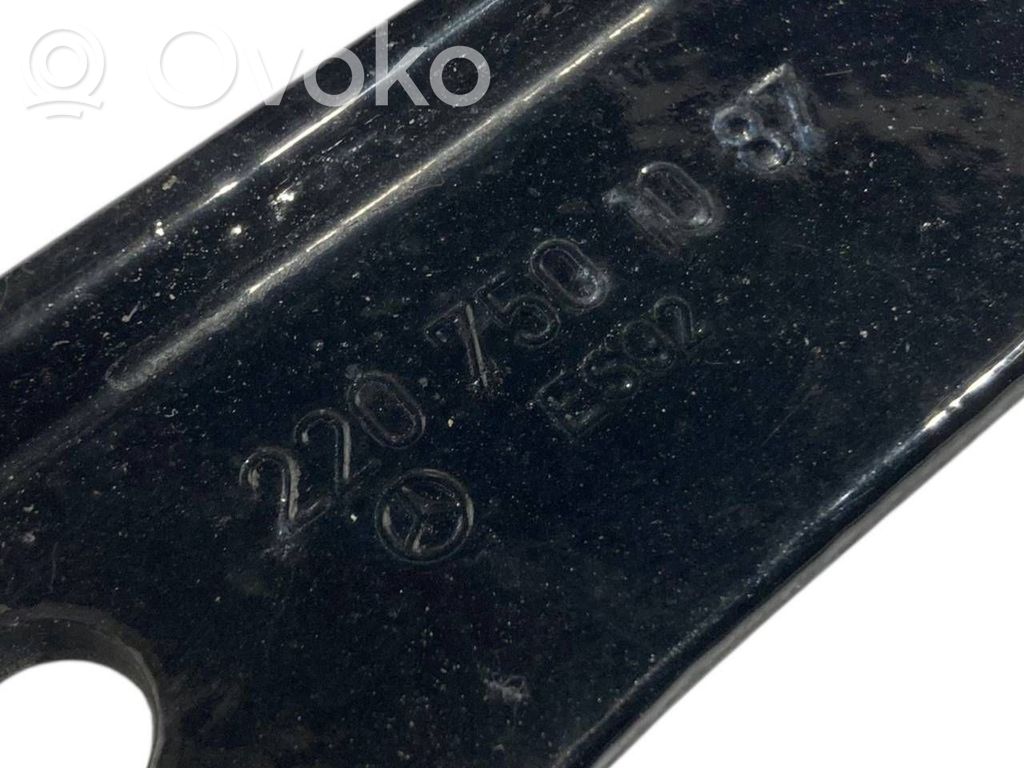 Aizmugurējā pārsega eņģe (-ess)