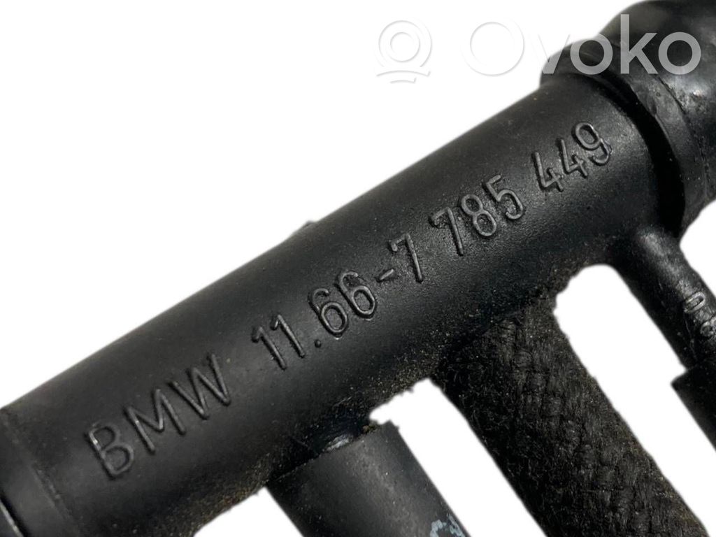 Caurulīte (-es) / šļūtene (-es)