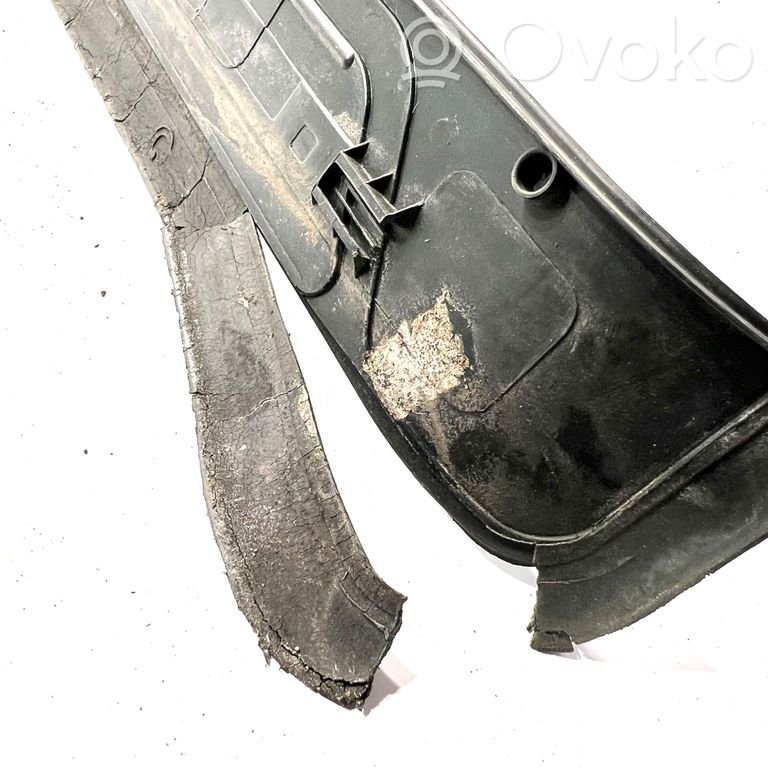 Rear door sill trim (inner)