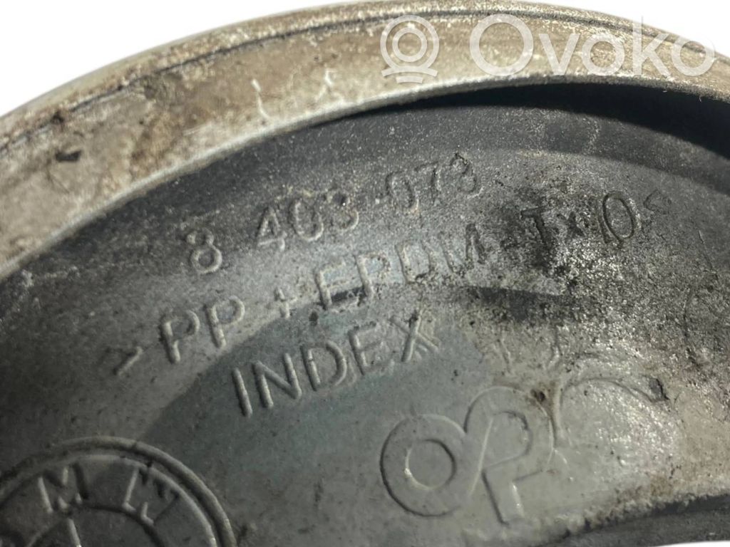 Pretmiglas luktura dekoratīvais režģis