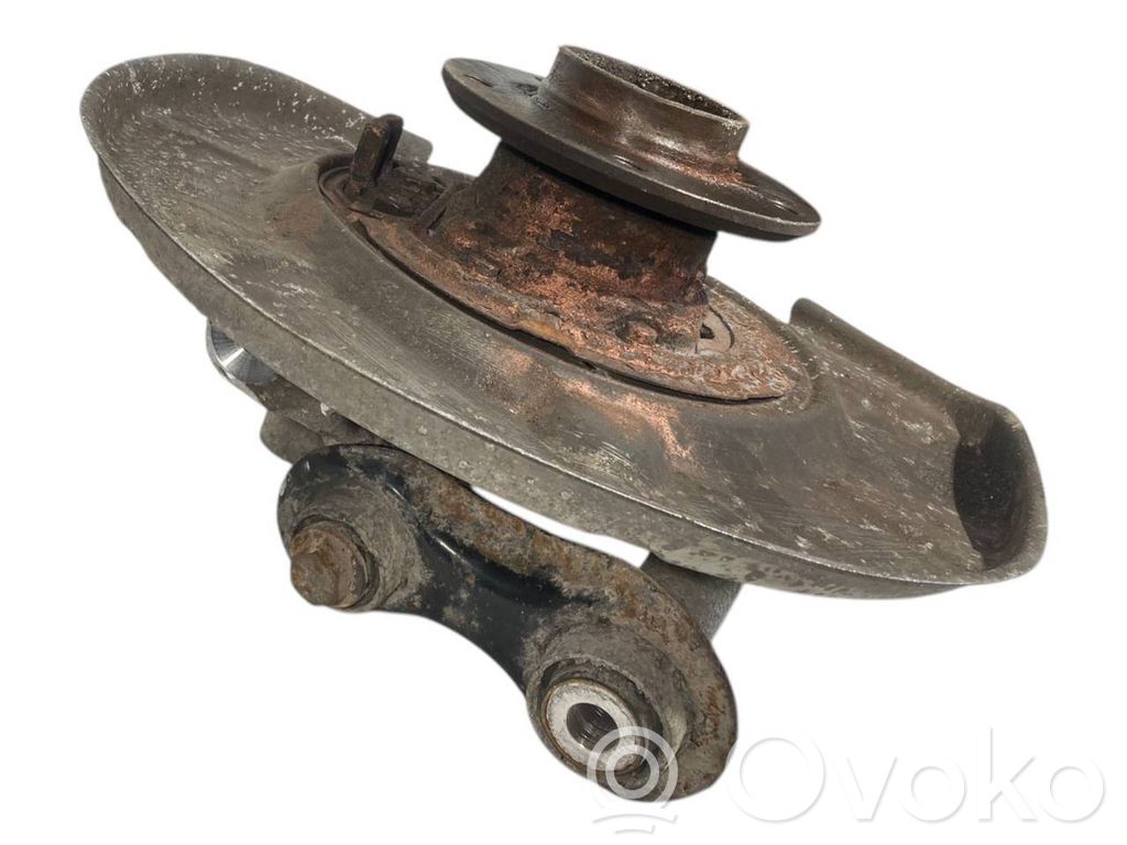 Rear wheel hub shaft joint (stupica, capfa)