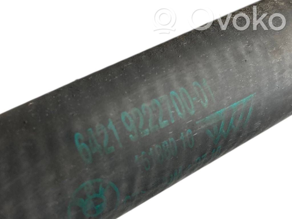 Caurulīte (-es) / šļūtene (-es)