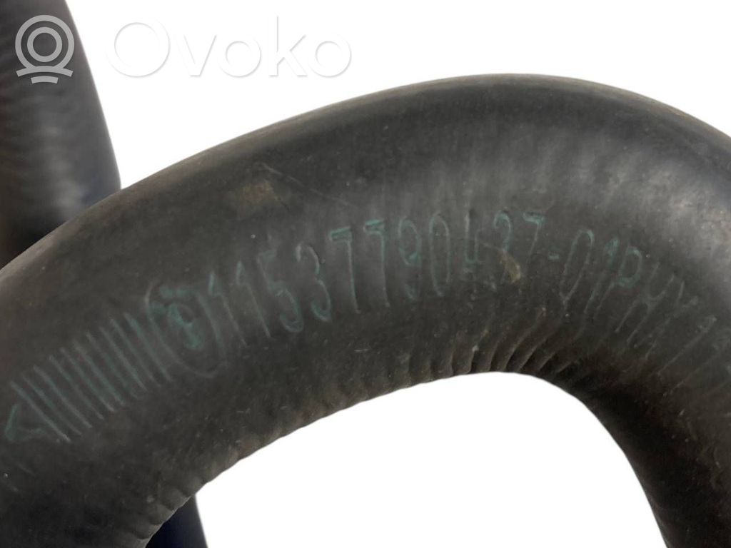 Caurulīte (-es) / šļūtene (-es)