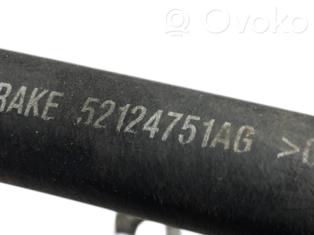 Caurulīte (-es) / šļūtene (-es)