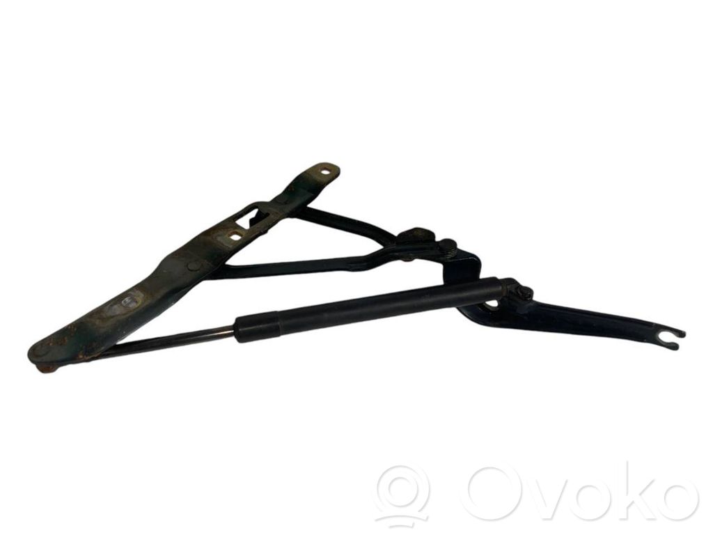 Rear cover hinge(s)