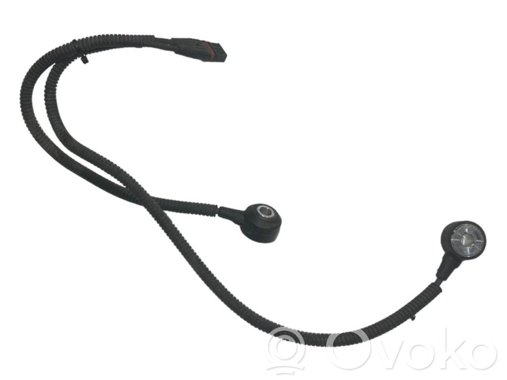 Detonācijas sensors