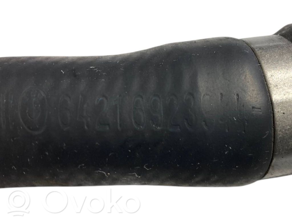 Caurulīte (-es) / šļūtene (-es)