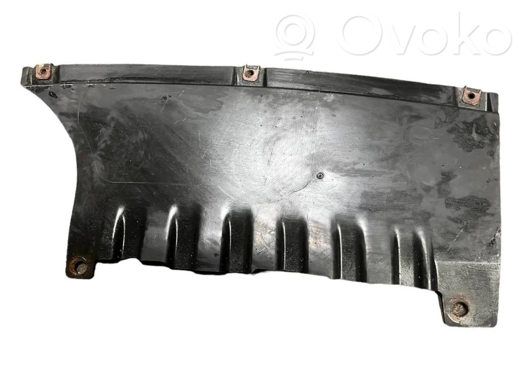 Rear bumper lower guard