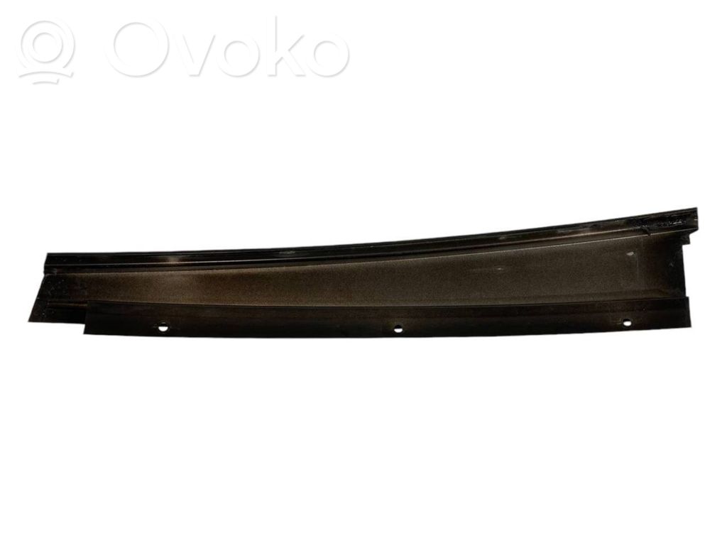 Rear door glass trim