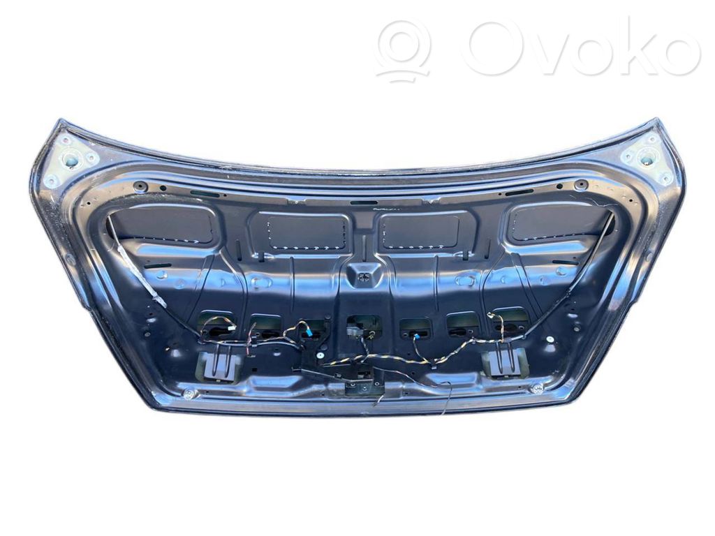 Aizmugurējais pārsegs (bagāžnieks)