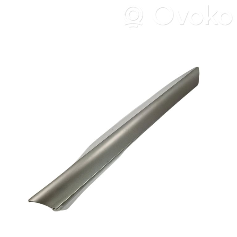 Rear door decorative trim (moulding)