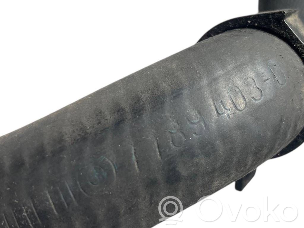 Caurulīte (-es) / šļūtene (-es)