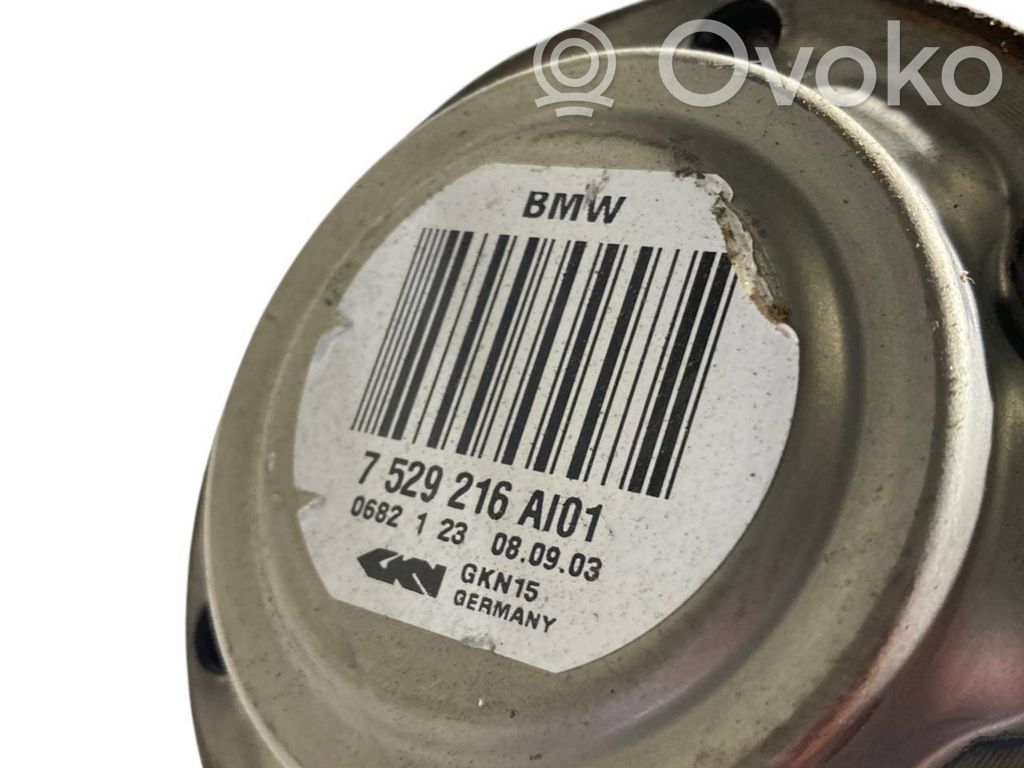 Aizmugurējā pusass