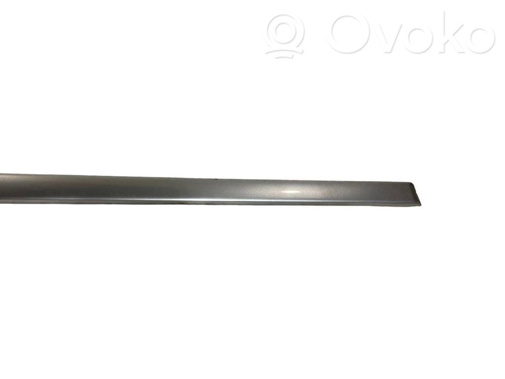 Front door decorative trim (molding)