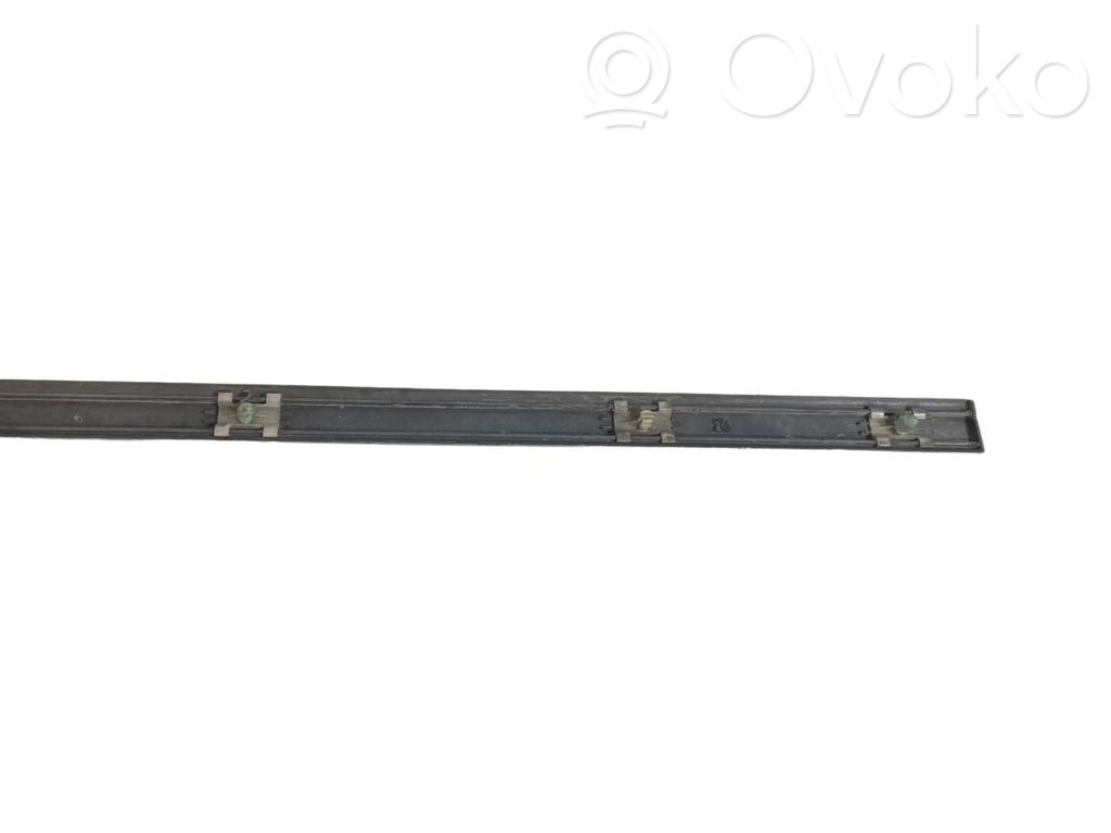 Front door decorative trim (molding)