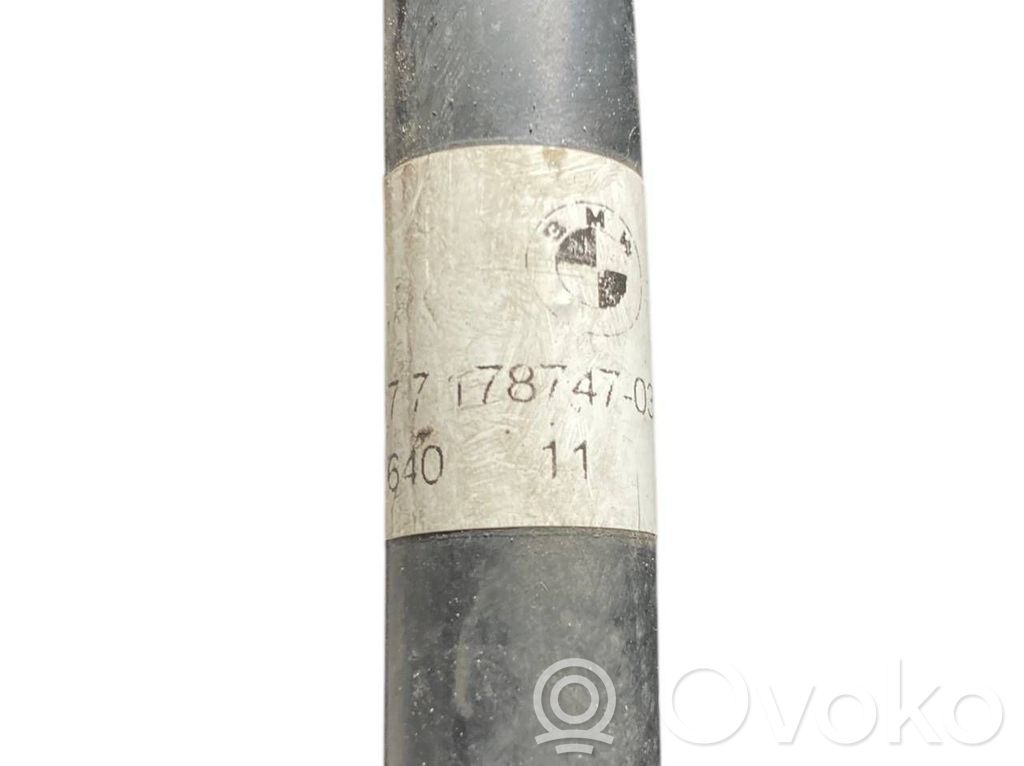 Lukturu mazgāšanas šķidruma trubiņa (-as)