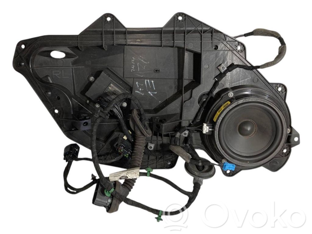 Speaker(s) in the rear door