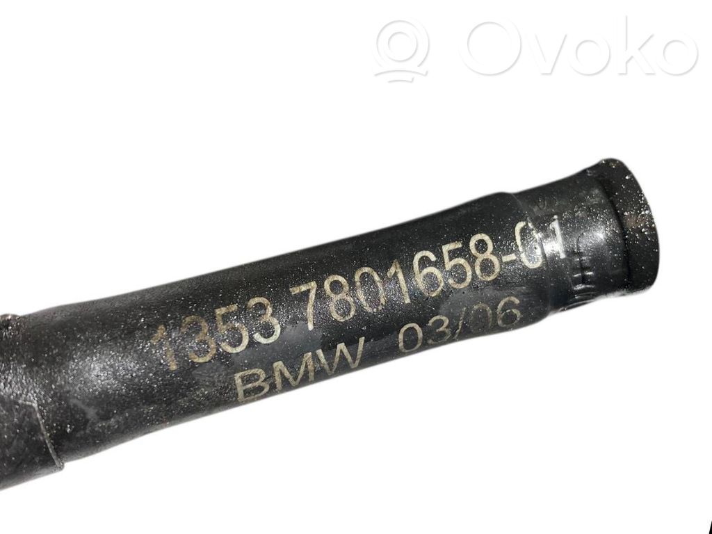 Caurule (-es) / šļūtene (-es)