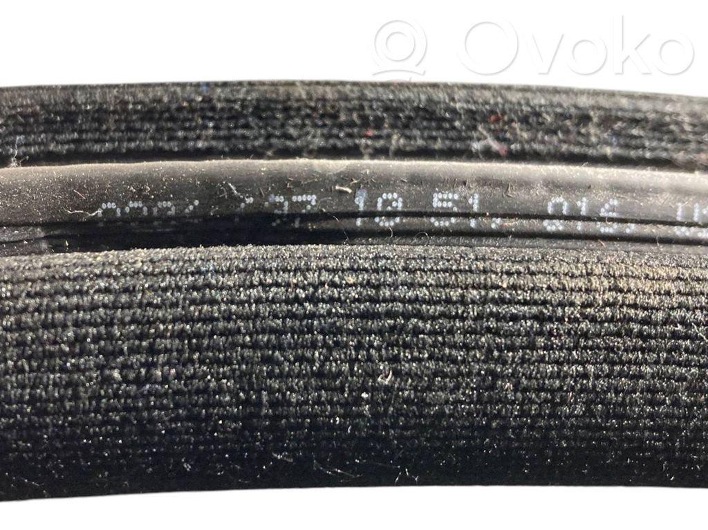 Front trim rubber (in the body)