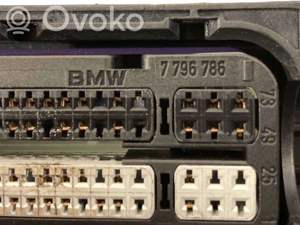 Engine wiring harness
