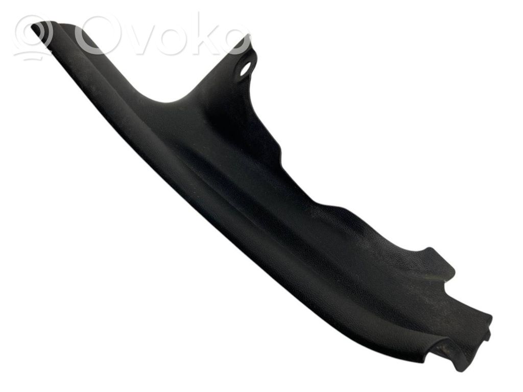 Rear door sill trim (inner)