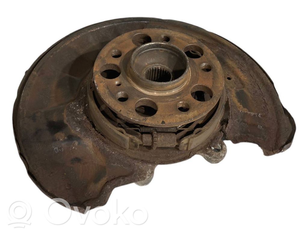 Rear wheel hub shaft joint (stupica, capfa)