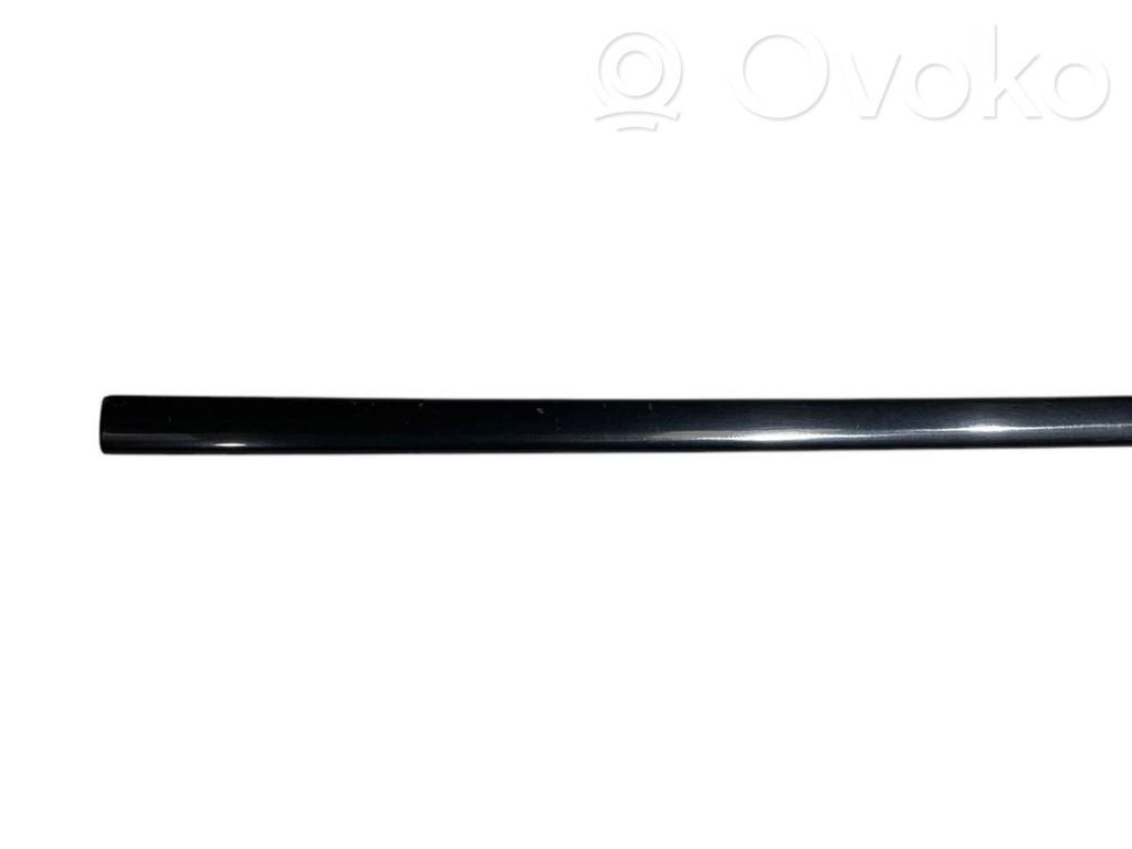 Front door decorative trim (molding)