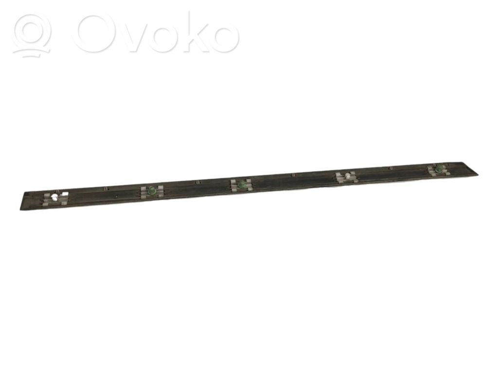 Rear door decorative trim (moulding)