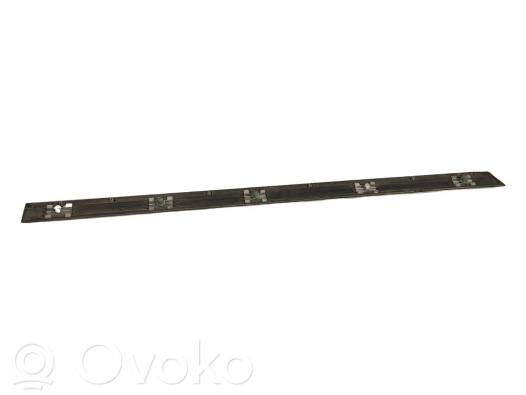Aizmugurē durvju dekoratīvā apdare (moldings)