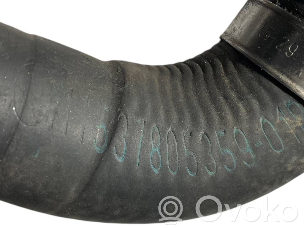 Caurulīte (-es) / šļūtene (-es)